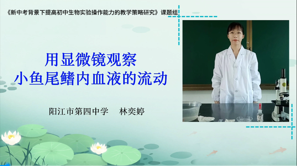 《用显微镜观察小鱼尾鳍内血液的流动》——阳江市第四中学林奕婷