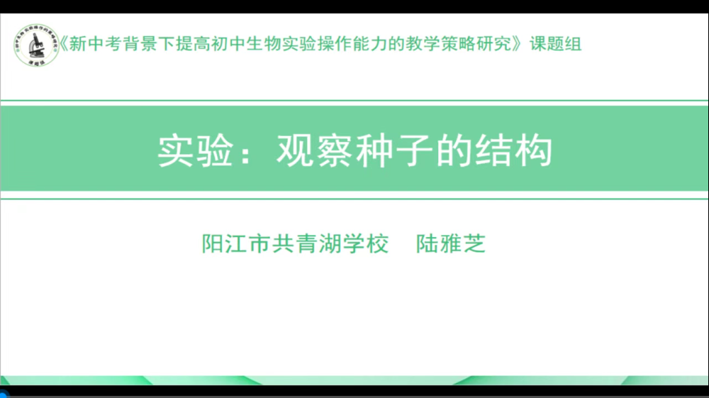 《观察种子的结构》——阳江市共青湖学校陆雅芝